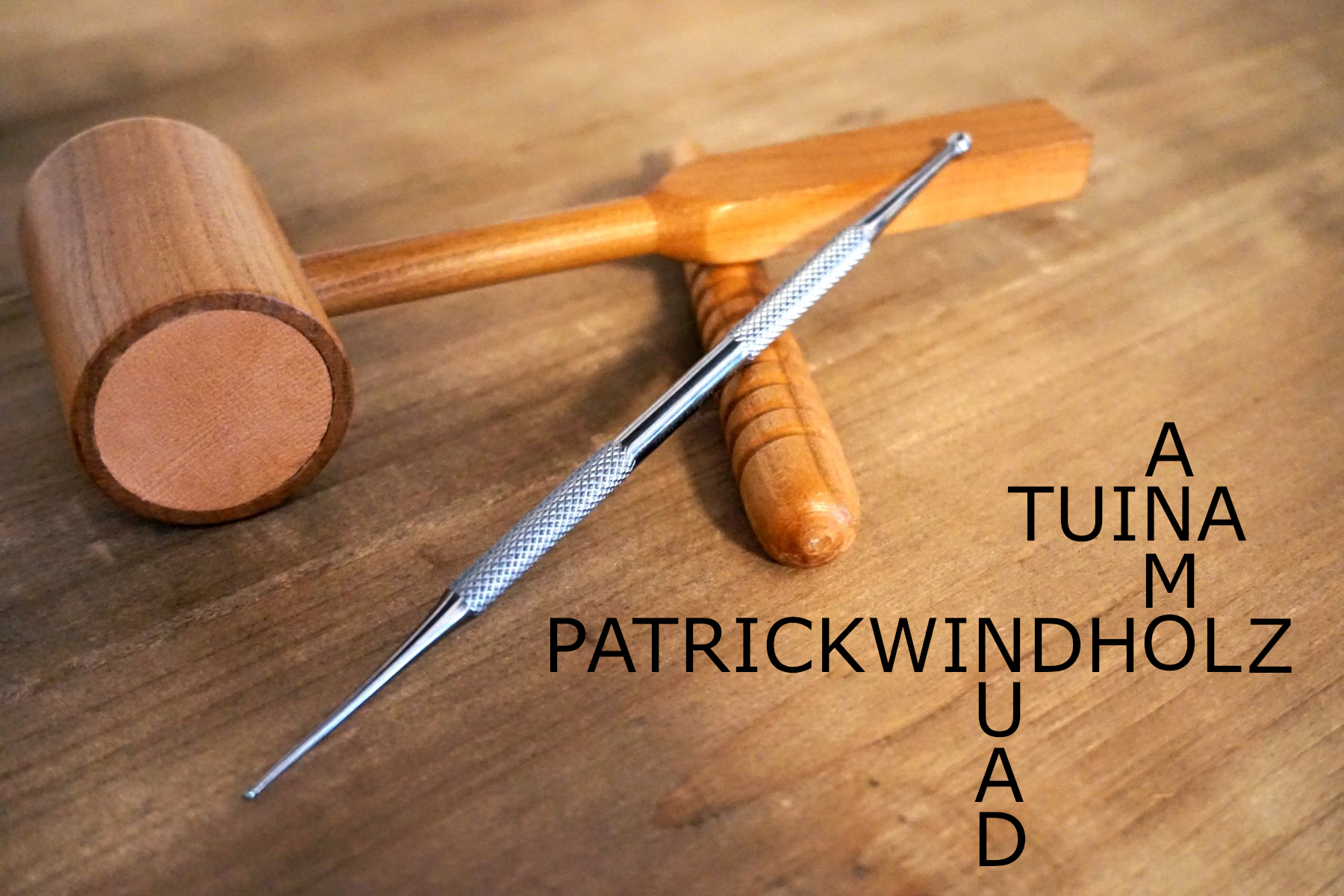 Patrick Windholz Tuina Anmo Praktiker Neusiedl am See